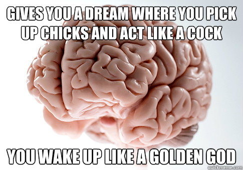 gives you a dream where you pick up chicks and act like a cock you wake up like a golden god  Scumbag Brain