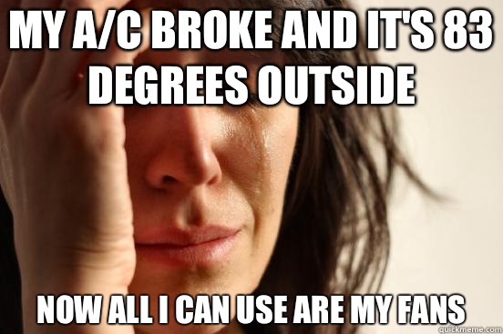 MY A/C BROKE AND It's 83 degrees outside Now all I can use are my fans  First World Problems
