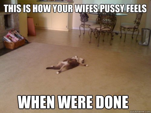 this is how your wifes pussy feels when were done - this is how your wifes pussy feels when were done  Down Cat