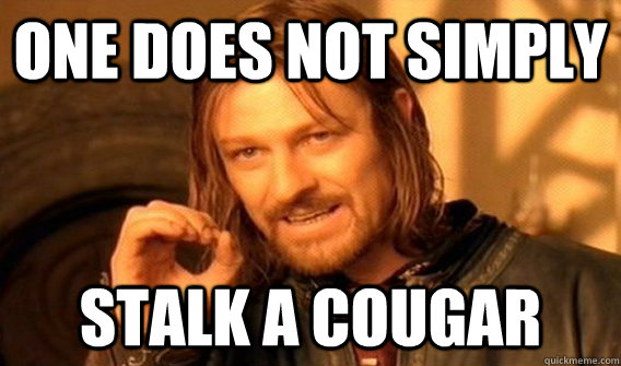 One does not simply stalk a cougar  One does not simply beat skyrim