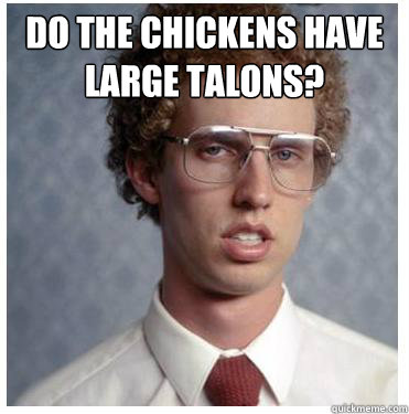 do the chickens have large talons?
   Napoleon dynamite