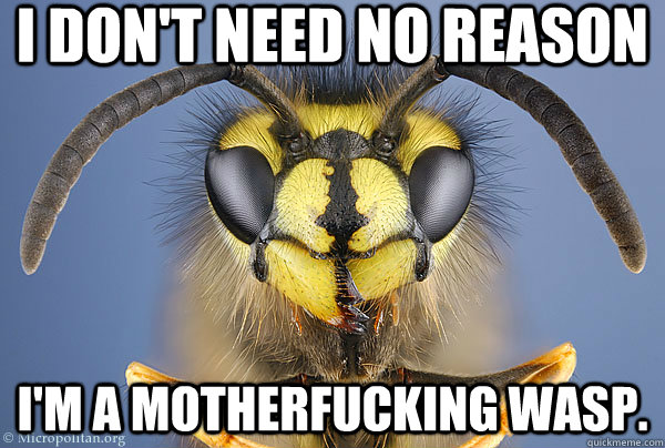 I don't need no reason I'm a motherfucking wasp.  
