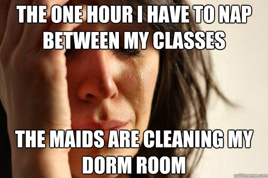 The one hour i have to nap between my classes the maids are cleaning my dorm room  First World Problems