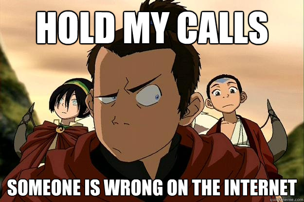 hold my calls someone is wrong on the internet - hold my calls someone is wrong on the internet  Someone is wrong on the internet
