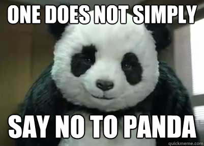 One Does Not SImply Say No to Panda  never say no to panda