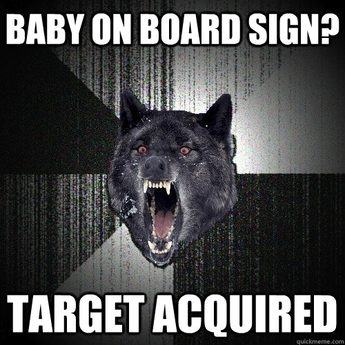 Baby on board sign? Target acquired  - Baby on board sign? Target acquired   Insanity Wolf