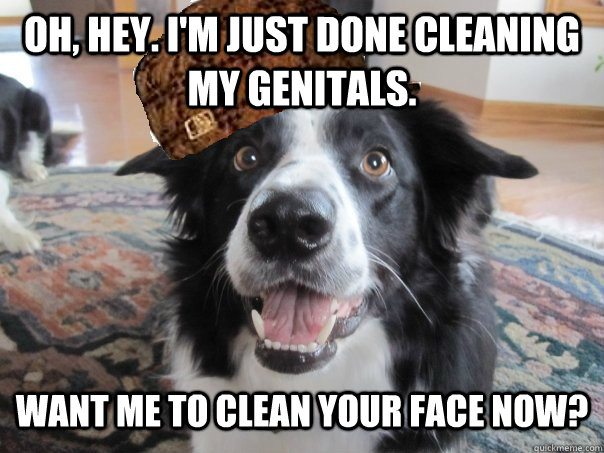 oh, hey. i'm just done cleaning my genitals. want me to clean your face now? - oh, hey. i'm just done cleaning my genitals. want me to clean your face now?  Misc
