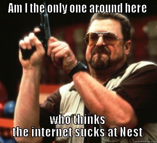 AM I THE ONLY ONE AROUND HERE WHO THINKS THE INTERNET SUCKS AT NEST Am I The Only One Around Here