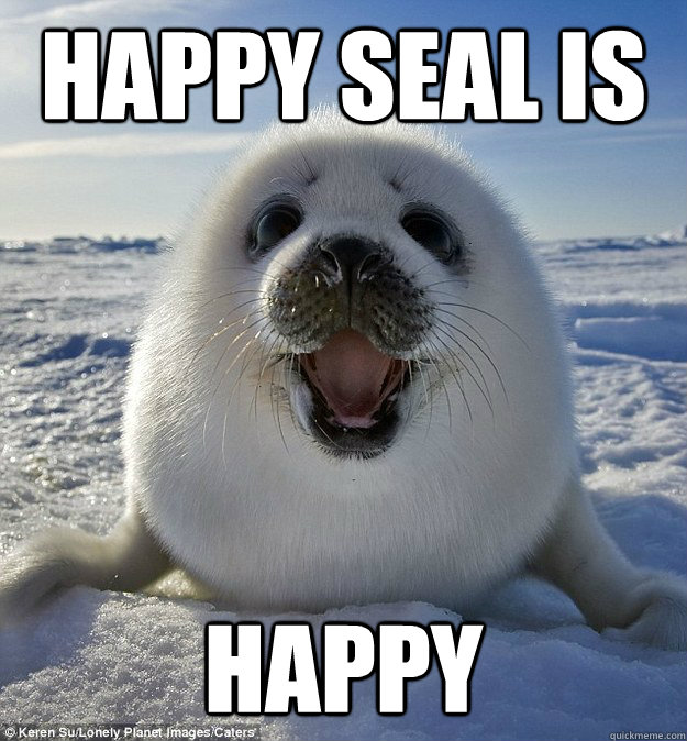 HAPPY SEAL IS HAPPY  Easily Pleased Seal