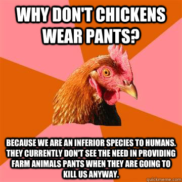 Why don't chickens wear pants? Because we are an inferior species to humans. They currently don't see the need in providing farm animals pants when they are going to kill us anyway. - Why don't chickens wear pants? Because we are an inferior species to humans. They currently don't see the need in providing farm animals pants when they are going to kill us anyway.  Anti-Joke Chicken