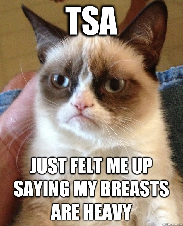TSA Just felt me up saying my breasts are heavy   Grumpy Cat