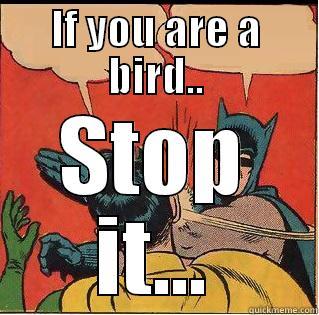 IF YOU ARE A BIRD.. STOP IT... Slappin Batman