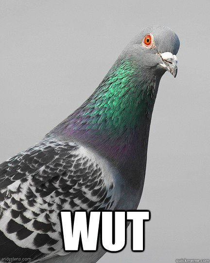 
 Wut  