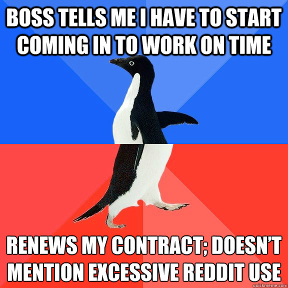 Boss tells me I have to start coming in to work on time Renews my contract; doesn’t mention excessive reddit use  Socially Awkward Awesome Penguin