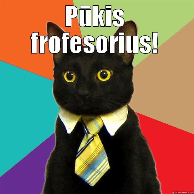 PŪKIS FROFESORIUS!  Business Cat