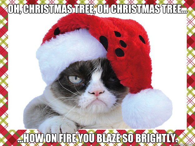 oh, Christmas tree, oh christmas tree... ...how on fire you blaze so brightly.  A Grumpy Cat Christmas