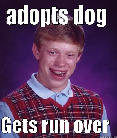 ADOPTS DOG  GETS RUN OVER  Bad Luck Brian