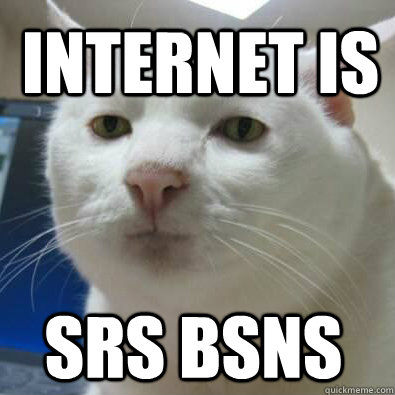 Internet Is SRS BSNS - Internet Is SRS BSNS  Serious Cat