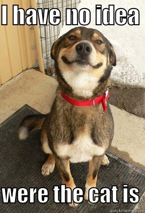 I HAVE NO IDEA   WERE THE CAT IS Good Dog Greg