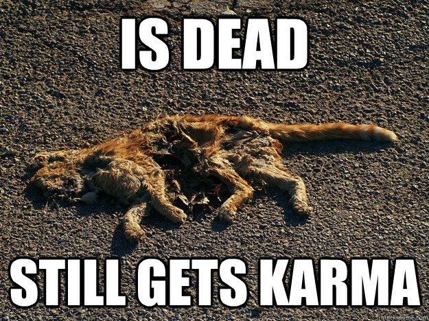 Is dead still gets karma  Roadkill Cat Win