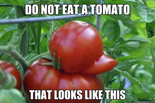 Do not eat a tomato that looks like this - Do not eat a tomato that looks like this  tomato duck