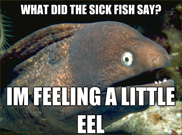 WHAT DID THE SICK FISH SAY? im feeling a little eel - WHAT DID THE SICK FISH SAY? im feeling a little eel  Bad Joke Eel