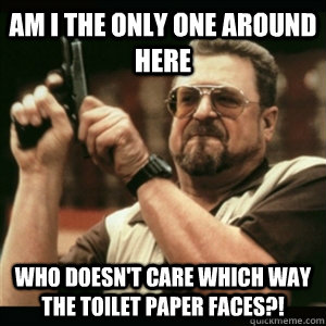 AM I THE ONLY ONE AROUND HERE who doesn't care which way the toilet paper faces?!  