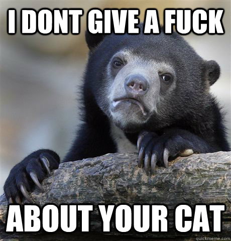 I dont give a fuck about your cat  Confession Bear
