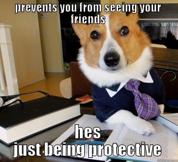 PREVENTS YOU FROM SEEING YOUR FRIENDS HES JUST BEING PROTECTIVE Lawyer Dog