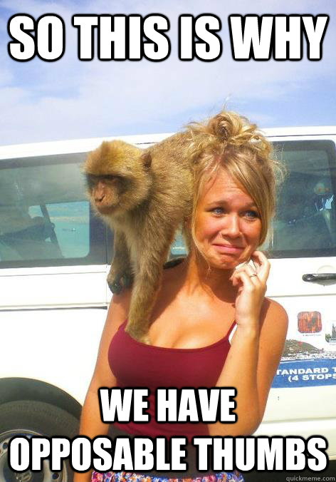 so this is why we have opposable thumbs  Smart Monkey