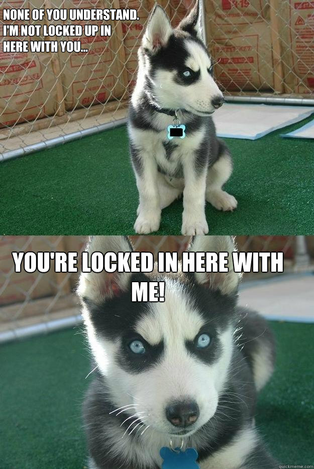 None of you understand. 
I'm not locked up in 
here with you... YOU'RE LOCKED IN HERE WITH ME!  Insanity puppy