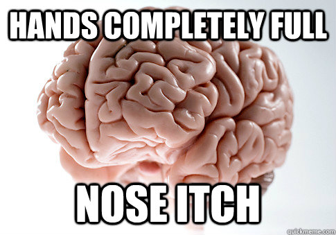 hands completely full nose itch  Scumbag Brain