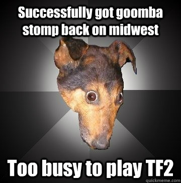 Successfully got goomba stomp back on midwest Too busy to play TF2 - Successfully got goomba stomp back on midwest Too busy to play TF2  Depression Dog