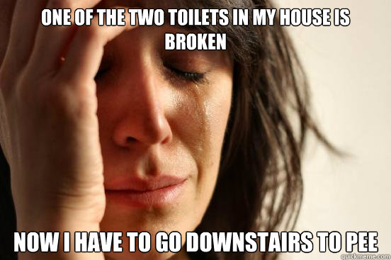 One of the two toilets in my house is broken Now i have to go downstairs to pee  First World Problems