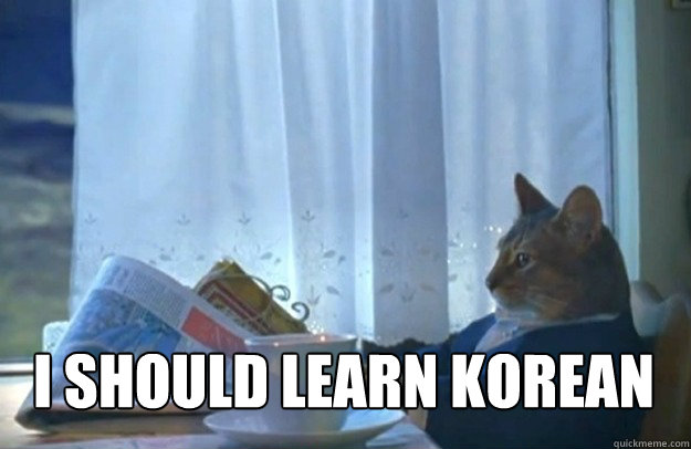 i should learn korean  Sophisticated Cat