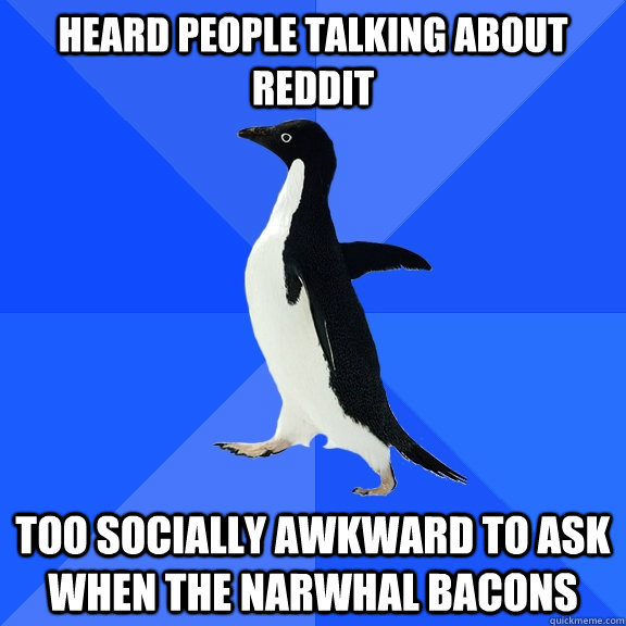 HEARD PEOPLE TALKING ABOUT REDDIT TOO SOCIALLY AWKWARD TO ASK WHEN THE NARWHAL BACONS  Socially Awkward Penguin