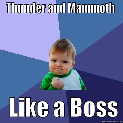 THUNDER AND MAMMOTH    LIKE A BOSS Success Kid