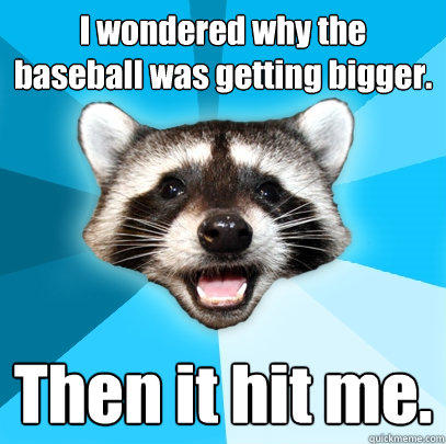 I wondered why the baseball was getting bigger. Then it hit me. - I wondered why the baseball was getting bigger. Then it hit me.  Lame Pun Coon