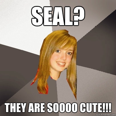Seal? They are soooo cute!!! - Seal? They are soooo cute!!!  Musically Oblivious 8th Grader