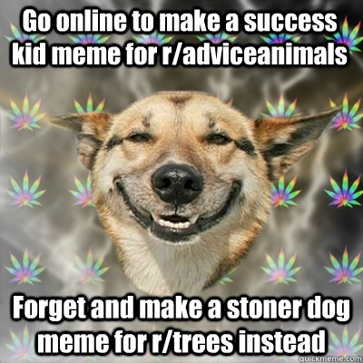 Go online to make a success kid meme for r/adviceanimals Forget and make a stoner dog meme for r/trees instead  Stoner Dog