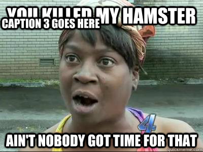 You killed my hamster Ain't Nobody Got Time For That Caption 3 goes here  No Time Sweet Brown