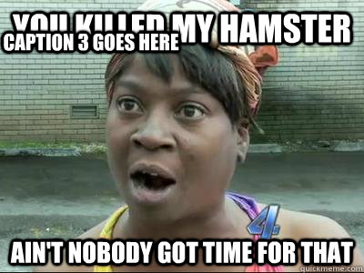 You killed my hamster Ain't Nobody Got Time For That Caption 3 goes here - You killed my hamster Ain't Nobody Got Time For That Caption 3 goes here  No Time Sweet Brown