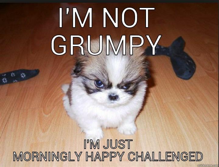 not a morning person - I'M NOT GRUMPY I'M JUST MORNINGLY HAPPY CHALLENGED Misc