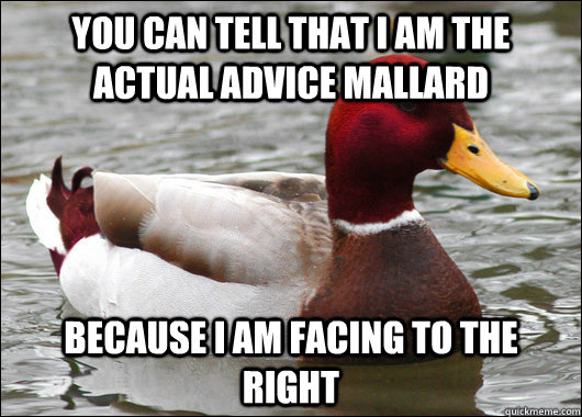 you can tell that I am the actual advice mallard because I am facing to the right  Malicious Advice Mallard