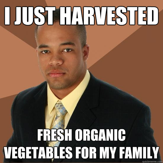 I just harvested fresh organic vegetables for my family  Successful Black Man Meth