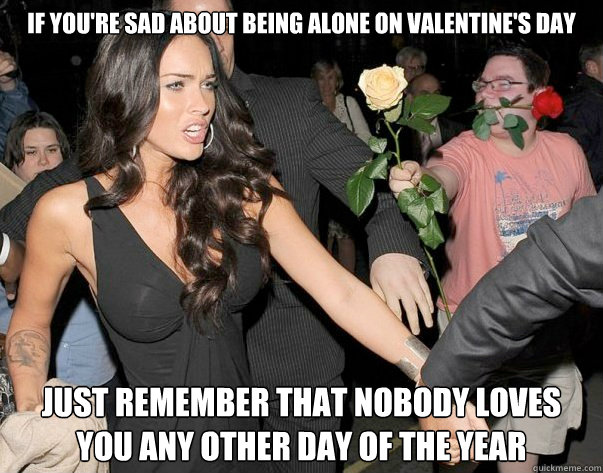 If you're sad about being alone on Valentine's day Just remember that nobody loves you any other day of the year - If you're sad about being alone on Valentine's day Just remember that nobody loves you any other day of the year  Out of his legue guy