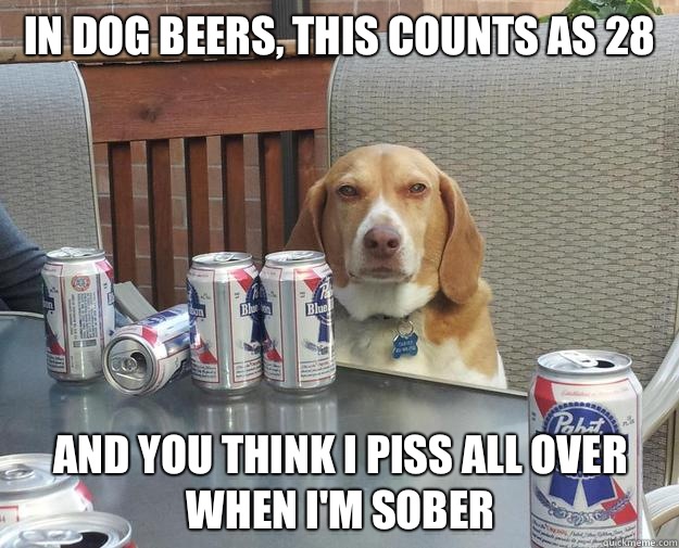 In dog beers, this counts as 28 And you think I piss all over when I'm sober   Drunk Judgemental Dog