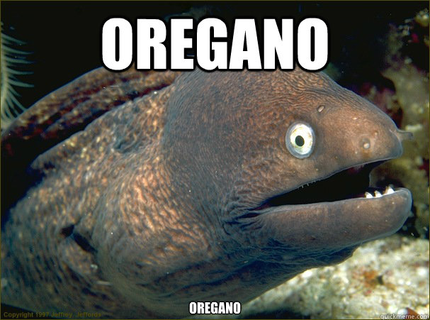Oregano Oregano - Oregano Oregano  Bad Joke Eel