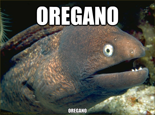 Oregano Oregano  Bad Joke Eel