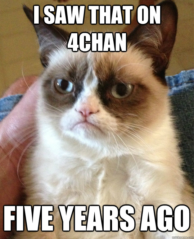 I saw that on 4chan five years ago - I saw that on 4chan five years ago  Grumpy Cat